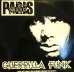 画像1: PARIS / GUERRILLA FUNK  (US PROMO - CLEAN VERSION ) (1)