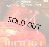 DIGITAL UNDERGROUND ‎/ SONS OF THE P  (UK-LP)
