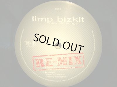 画像4: LIMP BIZKIT / NEW OLD SONGS  (US-2LP)