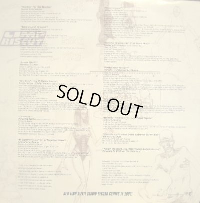 画像7: LIMP BIZKIT / NEW OLD SONGS  (US-2LP)