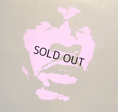 画像7: BUSTA RHYMES ‎/ EXTINCTION LEVEL EVENT - THE FINAL WORLD FRONT  (US-2LP)