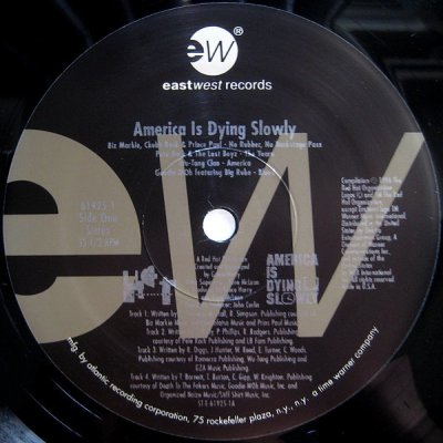 画像6: V.A. / AMERICA IS DYING SLOWLY  (US-2LP)
