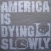 画像7: V.A. ‎/ AMERICA IS DYING SLOWLY  (US-2LP)