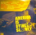 V.A. ‎/ AMERICA IS DYING SLOWLY  (US-2LP)