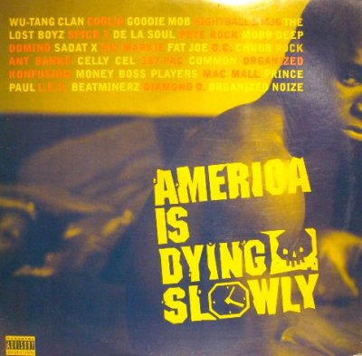 画像1: V.A. ‎/ AMERICA IS DYING SLOWLY  (US-2LP)