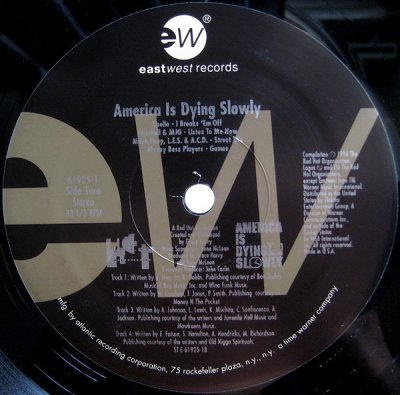 画像4: V.A. / AMERICA IS DYING SLOWLY  (US-2LP)