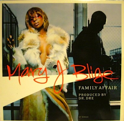 画像1: MARY J. BLIGE / FAMILY AFFAIR  