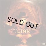 LINK / WHATCHA GONE DO?  (¥500)