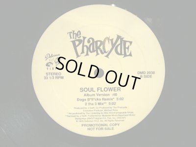 画像2: THE PHARCYDE / SOUL FLOWER  (US-PROMO)