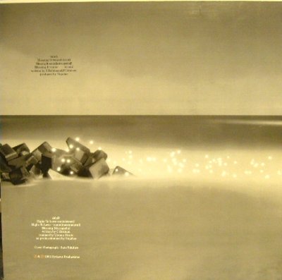 画像2: NUJABES FEAT. SUBSTANTIAL & PASE ROCK / BLESSING IT-REMIX