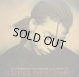 TERENCE TRENT D'ARBY / INTRODUCING THE HARDLINE ACCORDING TO TERENCE TRENT D'ARBY  (¥1000)