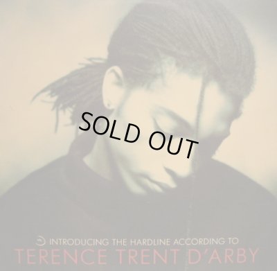 画像1: TERENCE TRENT D'ARBY / INTRODUCING THE HARDLINE ACCORDING TO TERENCE TRENT D'ARBY  (¥1000)