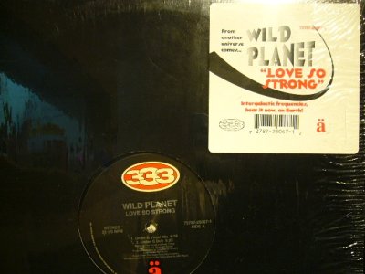 画像1: WILD PLANET / LOVE SO STRONG