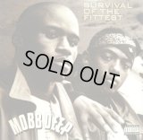 MOBB DEEP / SURVIVAL OF THE FITTEST  (¥1000)
