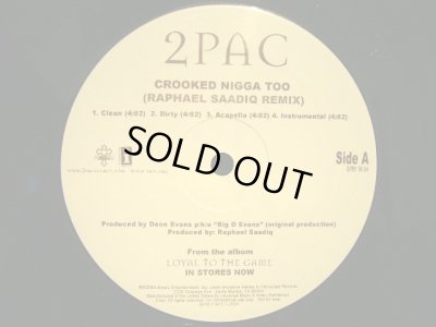 画像3: 2PAC / BONUS TRACKS FROM THE PLATINUM LP "LOYAL TO THE GAME"  (US-2LP)