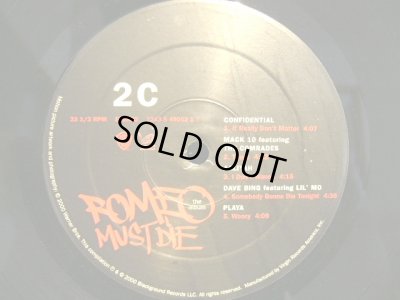 画像6: V.A. / ROMEO MUST DIE / THE ALBUM  (US-2LP)