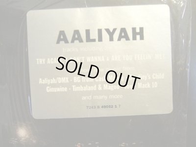 画像3: V.A. / ROMEO MUST DIE / THE ALBUM  (US-2LP)