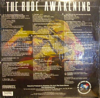 画像2: COCOA BROVAZ ‎/ THE RUDE AWAKENING  (US-2LP)