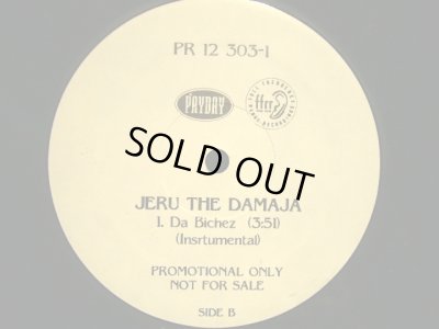 画像3:  JERU THE DAMAJA / DA BICHEZ