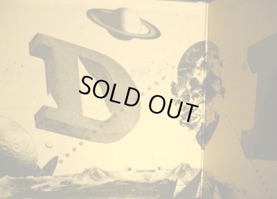 画像3: D.L / THE ALBUM  (ADMONITIONS)  (2LP)