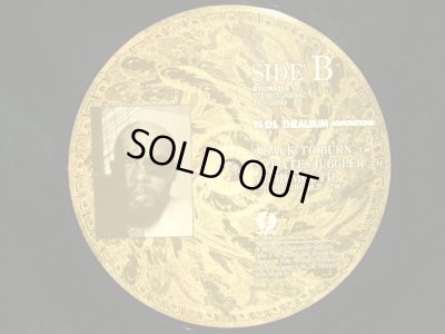 画像6: D.L / THE ALBUM  (ADMONITIONS)  (2LP)