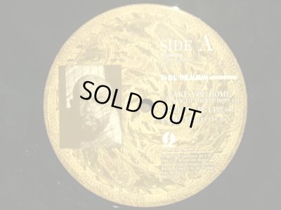 画像5: D.L / THE ALBUM  (ADMONITIONS)  (2LP)