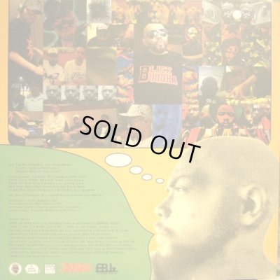 画像9: D.L / THE ALBUM  (ADMONITIONS)  (2LP)