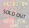 ICE-T / GOTTA LOTTA LOVE  (¥500)