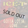 ICE-T / GOTTA LOTTA LOVE  (¥500)