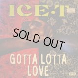ICE-T / GOTTA LOTTA LOVE  (¥500)