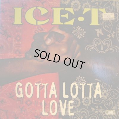 画像1: ICE-T / GOTTA LOTTA LOVE  (¥500)