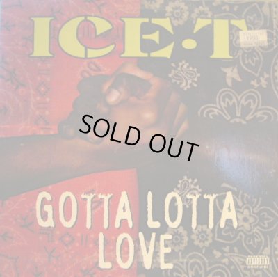 画像1: ICE-T / GOTTA LOTTA LOVE  (¥500)
