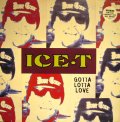 ICE-T ‎/ GOTTA LOTTA LOVE  (UK)