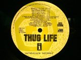 THUG LIFE / CRADLE TO THE GRAVE  (US-PROMO)