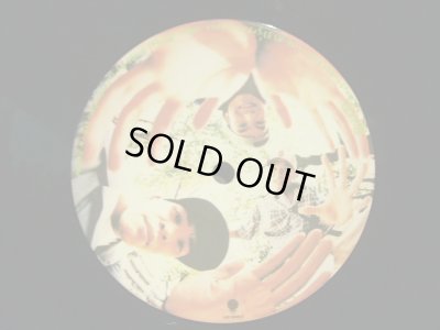 画像7: スチャダラパー / 偶然のアルバム  (2LP)