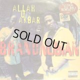 BRAND NUBIAN / ALLAH U AKBAR  (¥500)