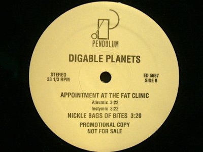 画像2: DIGABLE PLANETS / NICKEL BAGS  (US-PROMO)