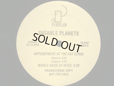 画像2: DIGABLE PLANETS / NICKEL BAGS  (US-PROMO)