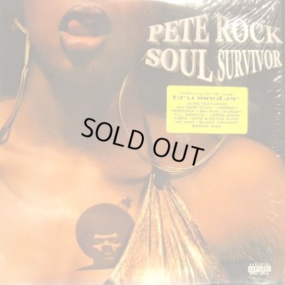 画像1: PETE ROCK / SOUL SURVIVOR  (US-2LP)