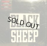 BLACK SHEEP / WITHOUT A DOUBT  (¥1000)