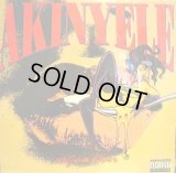 AKINYELE ‎/ VAGINA DINER (US-LP)