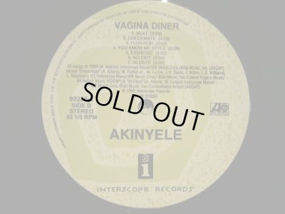 画像4: AKINYELE ‎/ VAGINA DINER (US-LP)