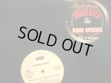 MOBB DEEP / RARE SPECIES (MODUS OPERANDI)  (¥500)