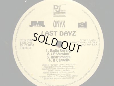 画像1: ONYX / LAST DAYZ (US-PROMO)  (¥1000)