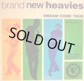 THE BRAND NEW HEAVIES Feat. N'DEA DAVENPORT / DREAM COME TRUE (UK)  (¥500)