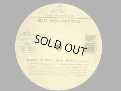 画像3: BIG MOUNTAIN ‎/ BABY, I LOVE YOUR WAY