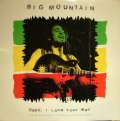 BIG MOUNTAIN ‎/ BABY, I LOVE YOUR WAY