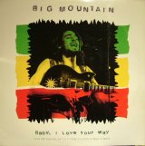 BIG MOUNTAIN ‎/ BABY, I LOVE YOUR WAY