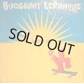 BUCKSHOT LEFONQUE ‎/ ANOTHER DAY (UK)
