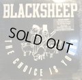 BLACK SHEEP / THE CHOICE IS YOURS 